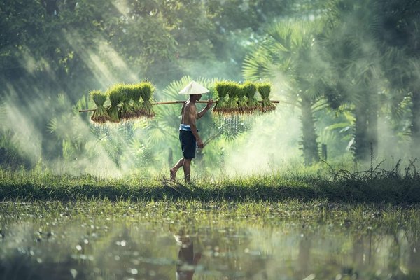 Où partir en voyage en Asie ?
